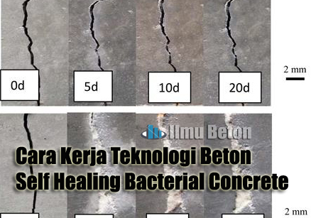Cara Kerja Teknologi Beton Self Healing Bacterial Concrete
