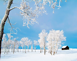 winter wallpapers desktop computer nature season background screensavers screen scenes backgrounds screensaver landscape pretty papel frost morning sky szenen inverno
