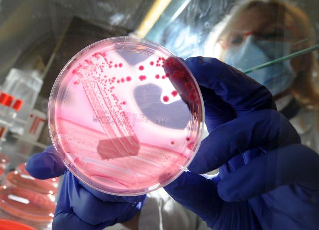 Existen las enfermedades creadas en laboratorio?