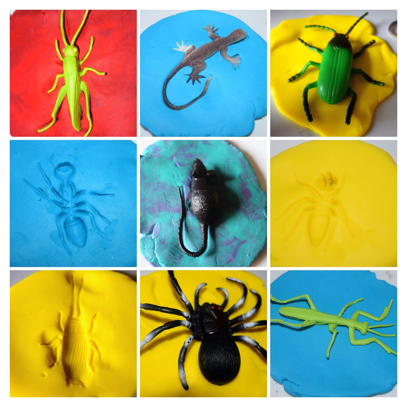 Sindhu's cocoon Bug Fossils with Play Dough