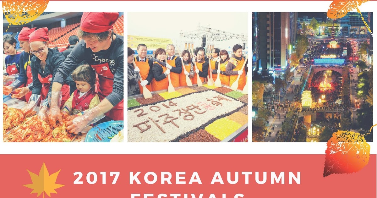 KOREA TRAVEL INFORMATION: November festival in korea