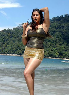 Namitha Hot Indian Actress, Tamil Hot Aunty Namitha Vankawala 29