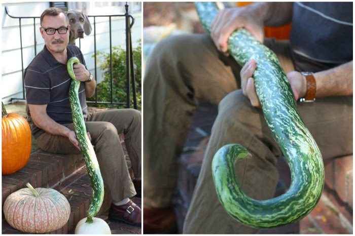 How To Snake Gourd Rainstick 17 Apart