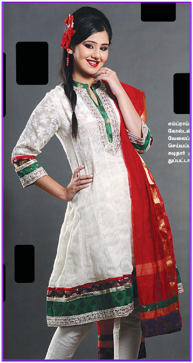 Telugu Web World Model Wearing Beautiful Punjabi Dress