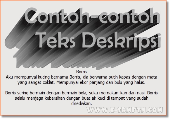 9 Contoh Teks Paragraf Deskripsi Singkat dan Jelas ...