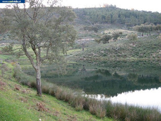 Barragem da Apartadura, Zonas de Pesca de Castelo de Vide / Portalegre (Alto Alentejo), Portugal (Fish / Pesca)