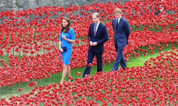 Tower of London's 'Blood Swept Lands and Seas of Red' poppy installation in the Tower of London