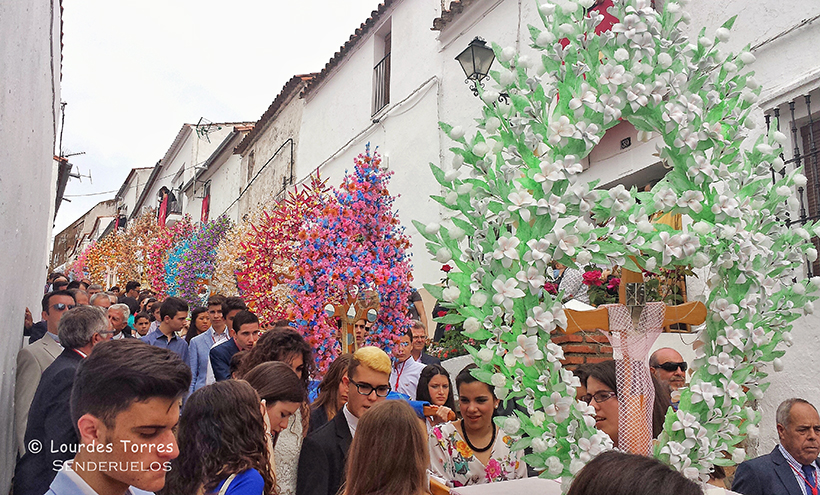 Fiesta de la Santa Cruz de Feria o Fiestas de las Cruces de Mayo de