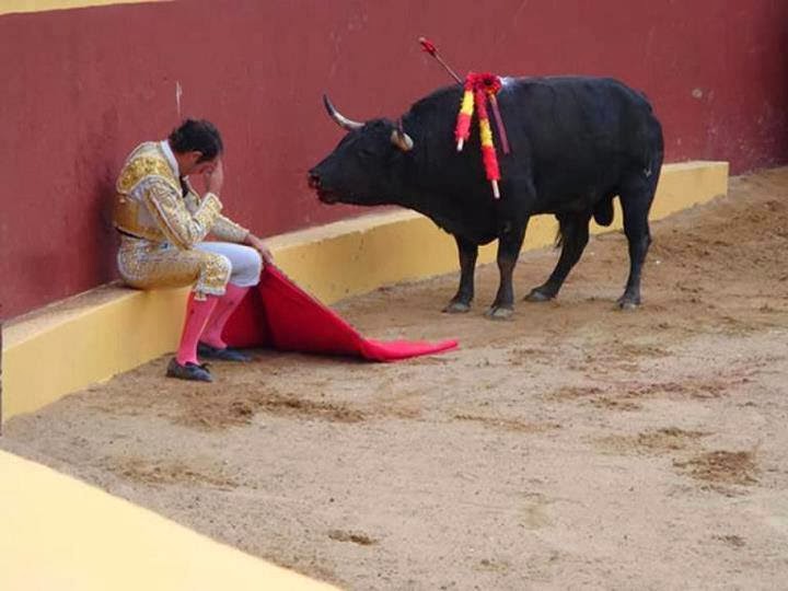 闘牛士の死はスペインの闘牛の終焉への一歩だった