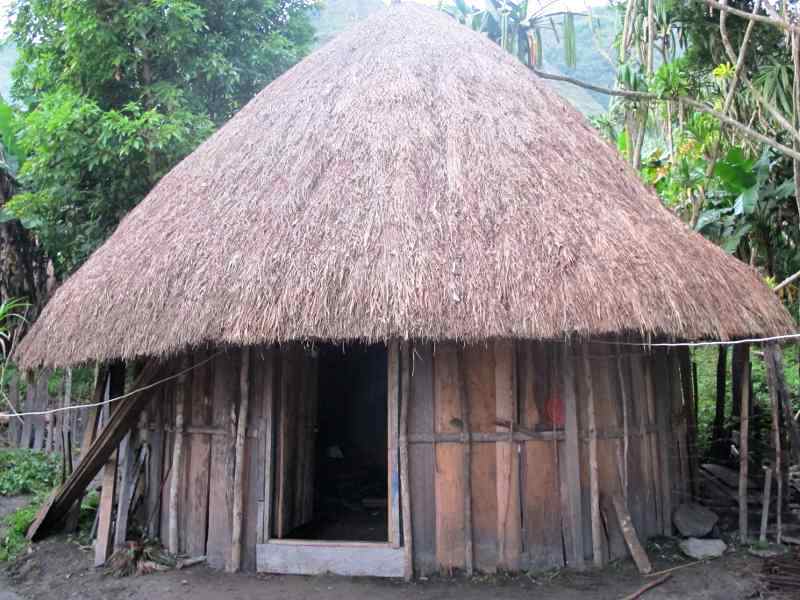 Gambar Desain Rumah Adat Papua - Rumah XY