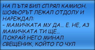 виц ВИЦОВЕ ~ На пътя бил спрял камион