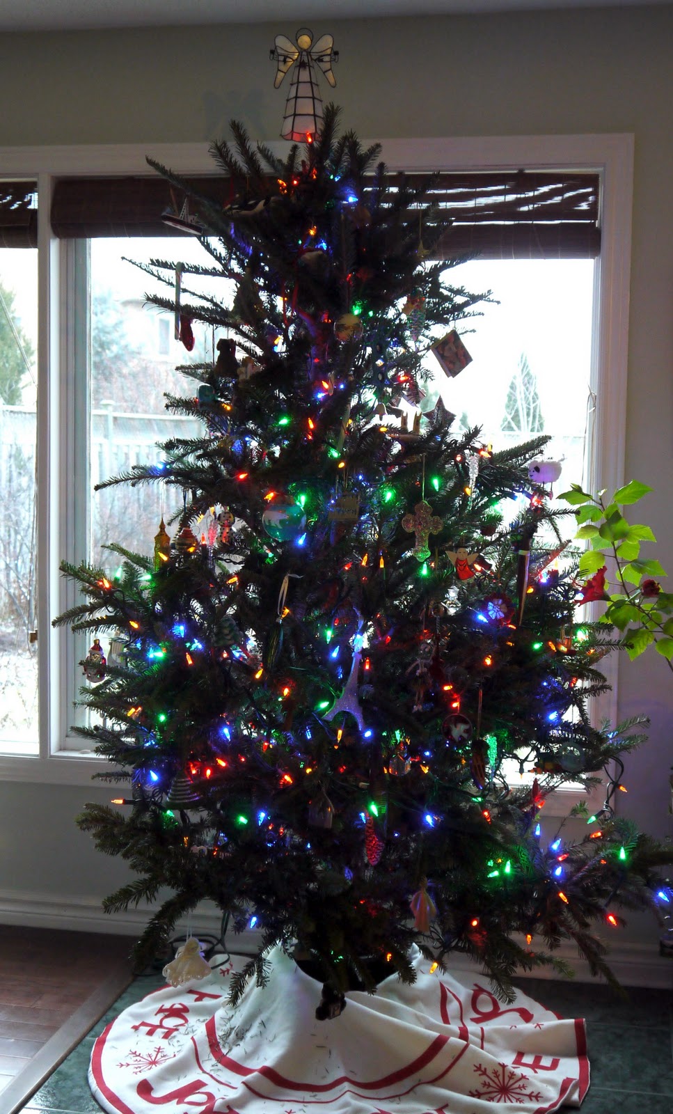 Sense and Simplicity The Tree is Trimmed