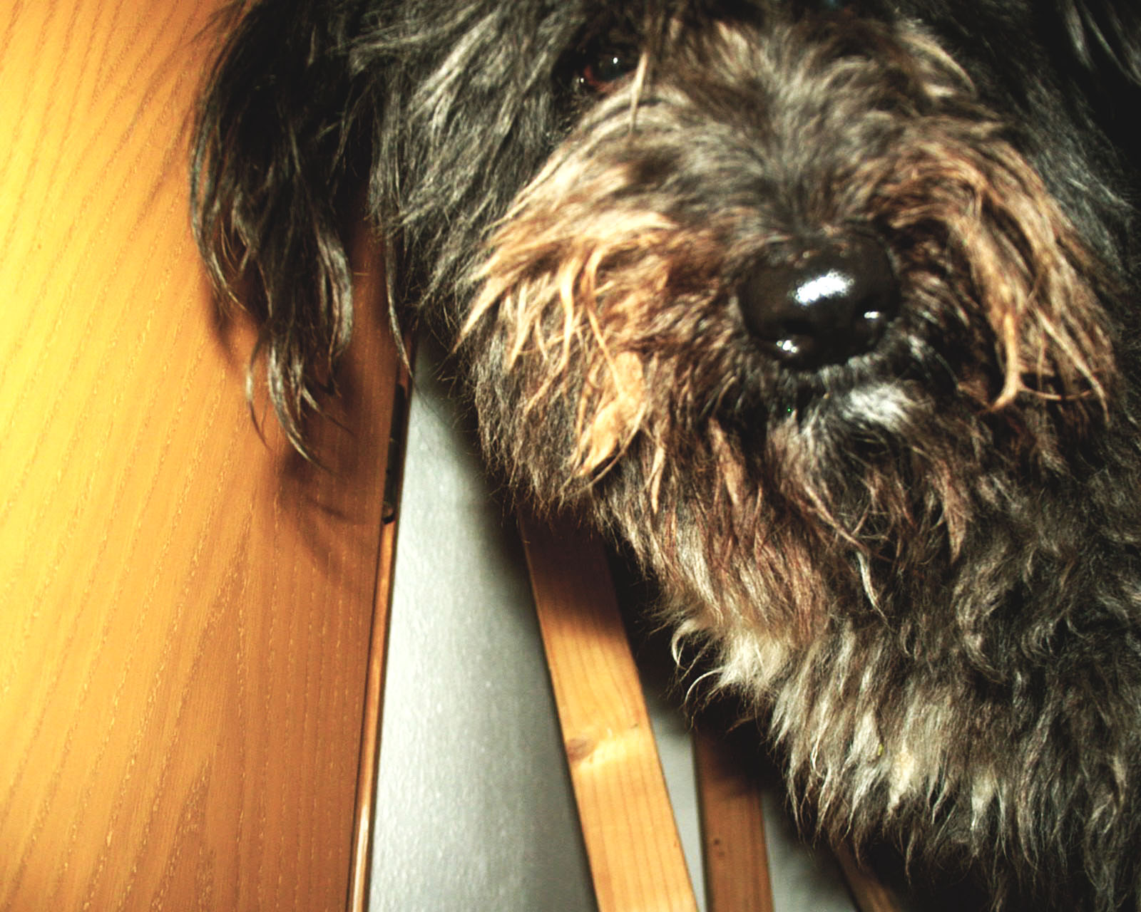 Be yourself. Whoever that is. The most beautiful thing of the fucking