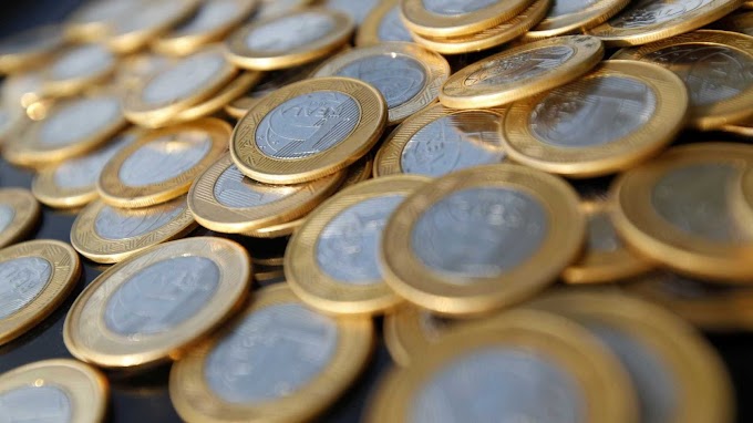 Conheça franquias para você começar a empreender