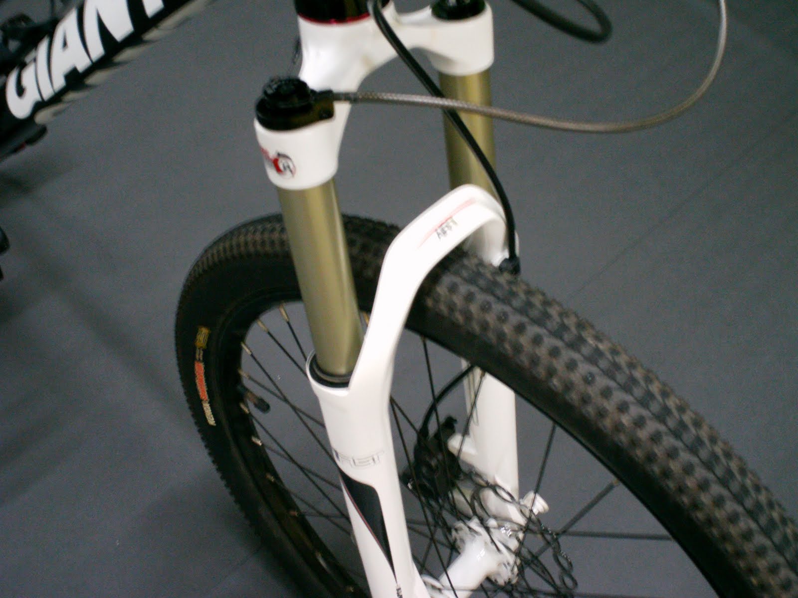 My Food Guide & Cycling Blog RST First Platinum (2011) Suspension Fork
