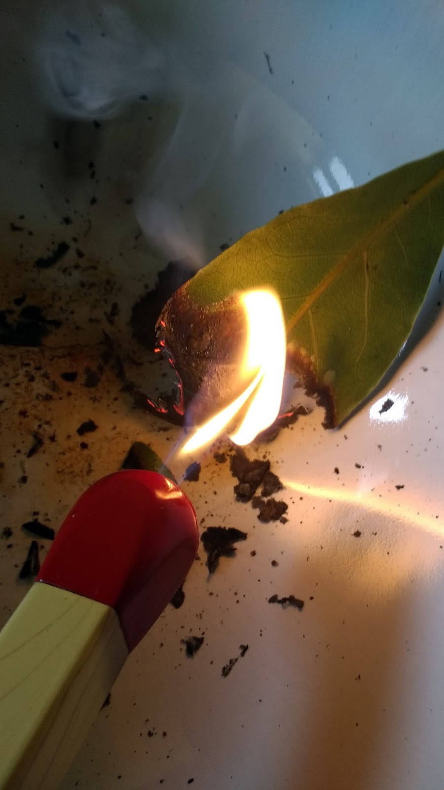 Gardening Matters Burning Bay Leaves