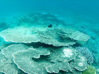 Wisata Aceh, Unforgettable Journey to Breueh Island Wisata Aceh, Unforgettable Journey to Breueh Island