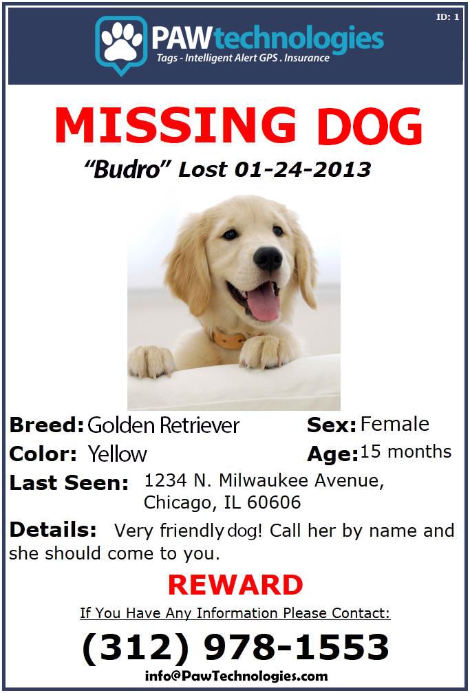 barking from the bayou lost dog flyer examples
