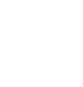 Romana B. Mirza
