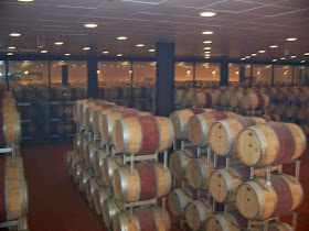 Barrel room of Poliziano winery Montepulciano