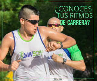 CONOCE TUS RITMOS