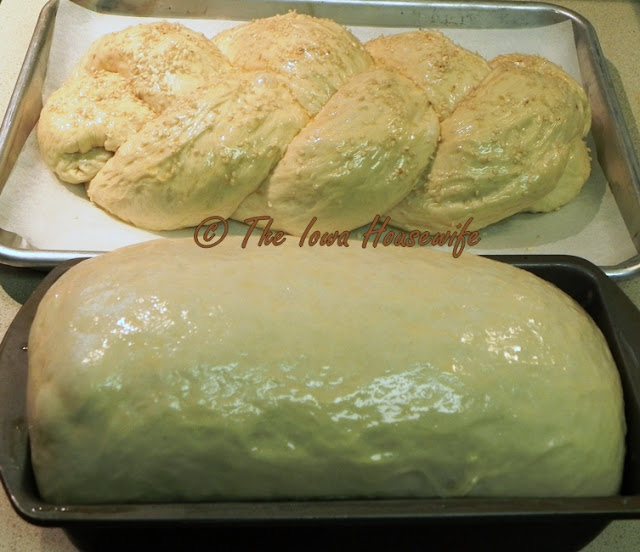The Iowa Housewife Fleischmann's Master Bread Dough