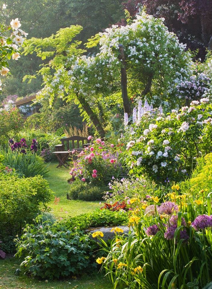 Gardens yards dreaming gardens