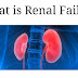 What is Renal Failure 