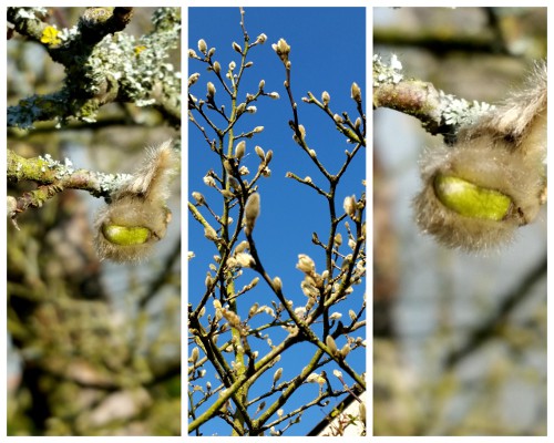 Nunu S Garn Und Stofflabor Marz 2016