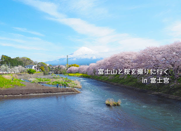 富士山と桜を撮りに、富士宮へ…