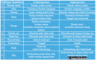Tabel 11 Ciri Beserta Perbedaan Gymnospermae Dan Angiospermae Tabel 11 Ciri Beserta Perbedaan Gymnospermae Dan Angiospermae