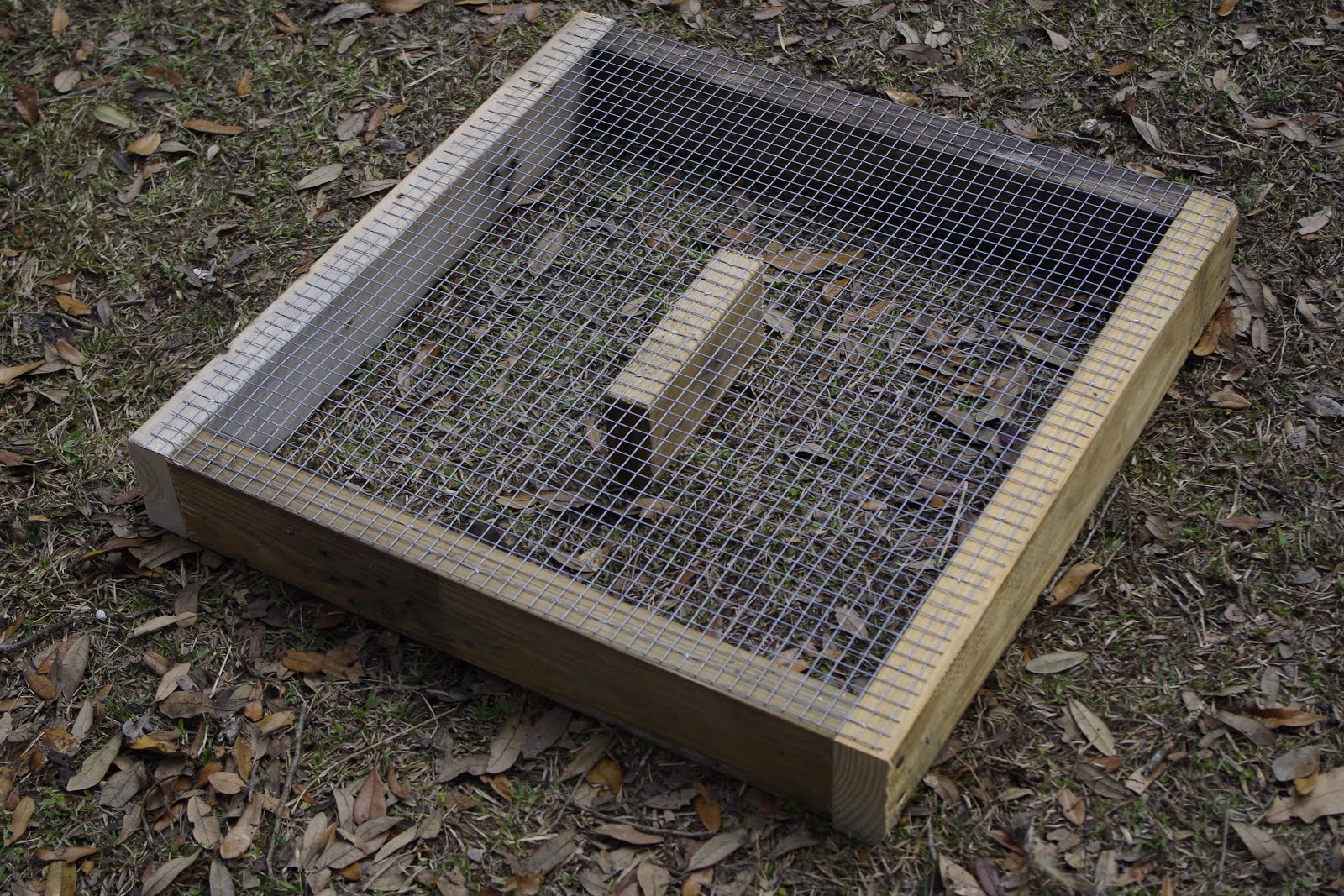 The Foxy Chicken Chicken Run Grazing boxes