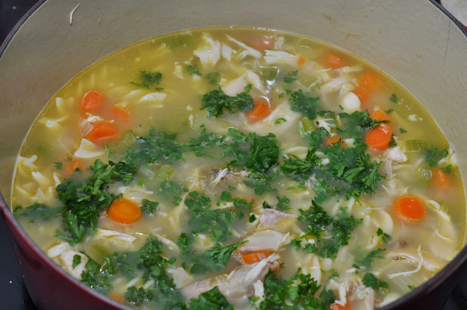 Life of a Wise Wife : Quick and Easy Gluten Free Chicken Noodle Soup