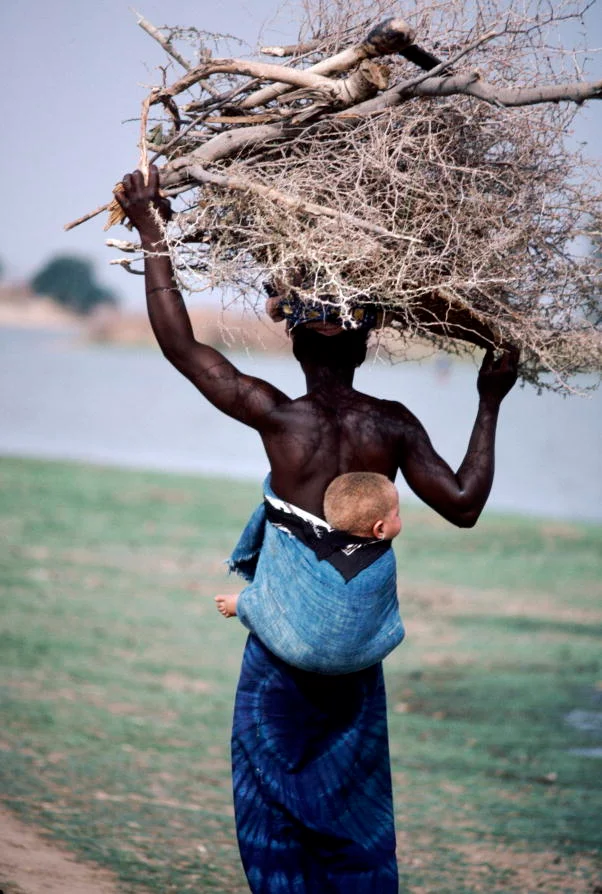 Collecting wood for a fire in Nigeria