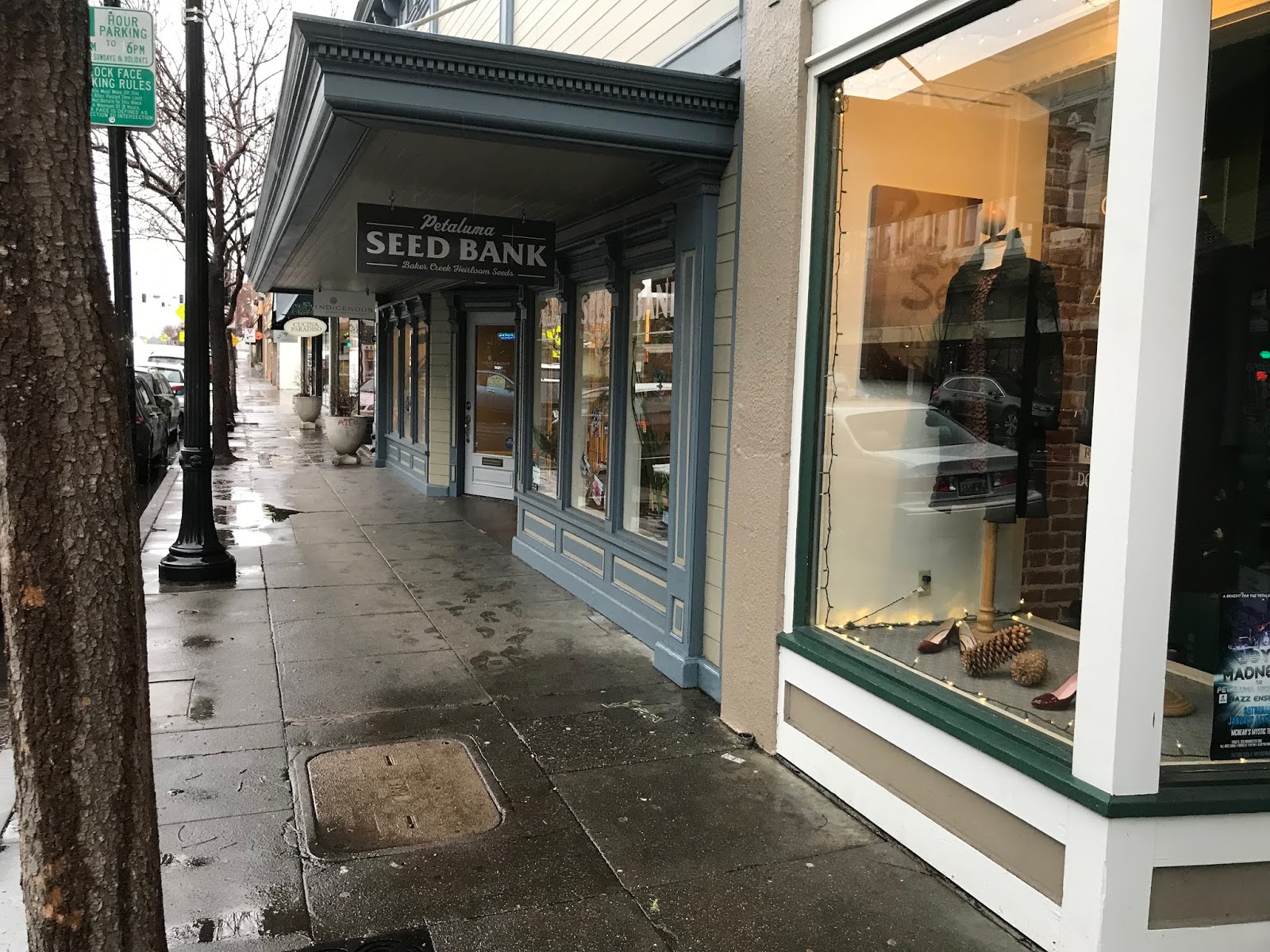 Daniel's Pacific NW Garden Visiting the Baker Creek Petaluma Seed Bank