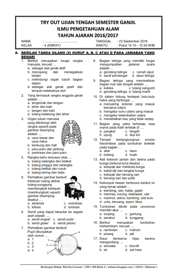 Contoh Soal Uts Ipa Kelas 8 Semester 2 Contoh Soal Terbaru