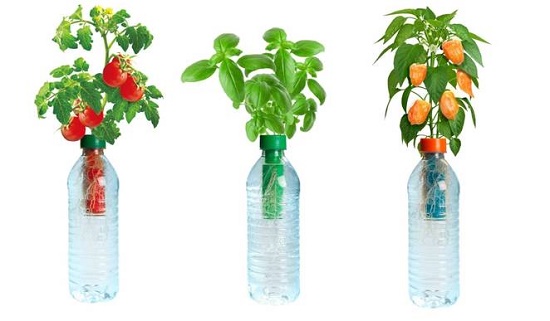 Kumpulan Tips Berkebun Hidroponik Secara Sederhana Kumpulan Tips Berkebun Hidroponik Secara Sederhana