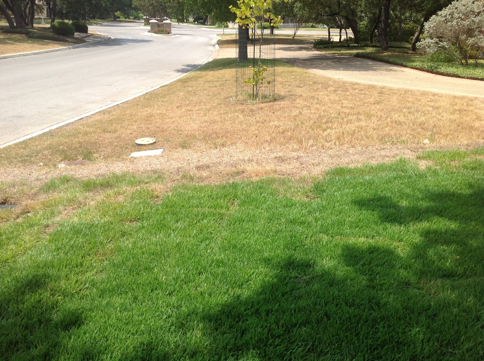 Preferred Landscape and Lighting Which grass has drip irrigation under
