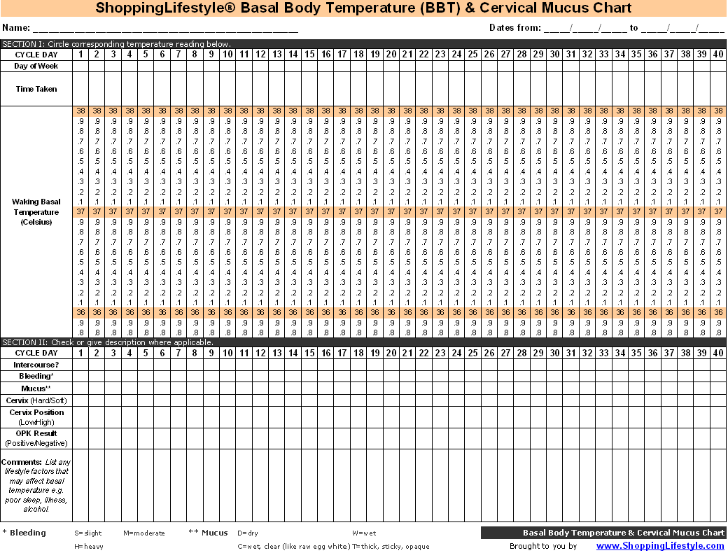 anugerah-terindah-termometer-digital-dan-bbt-chart