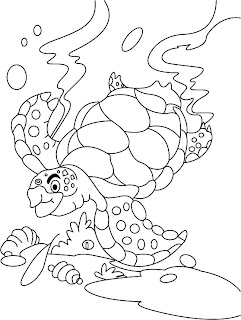 Turtle Coloring Pages