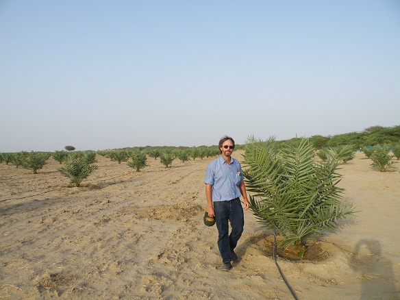 Dave's Nuffield Tour: July 2012