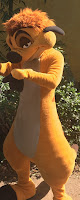 Timon Disney Parks Character