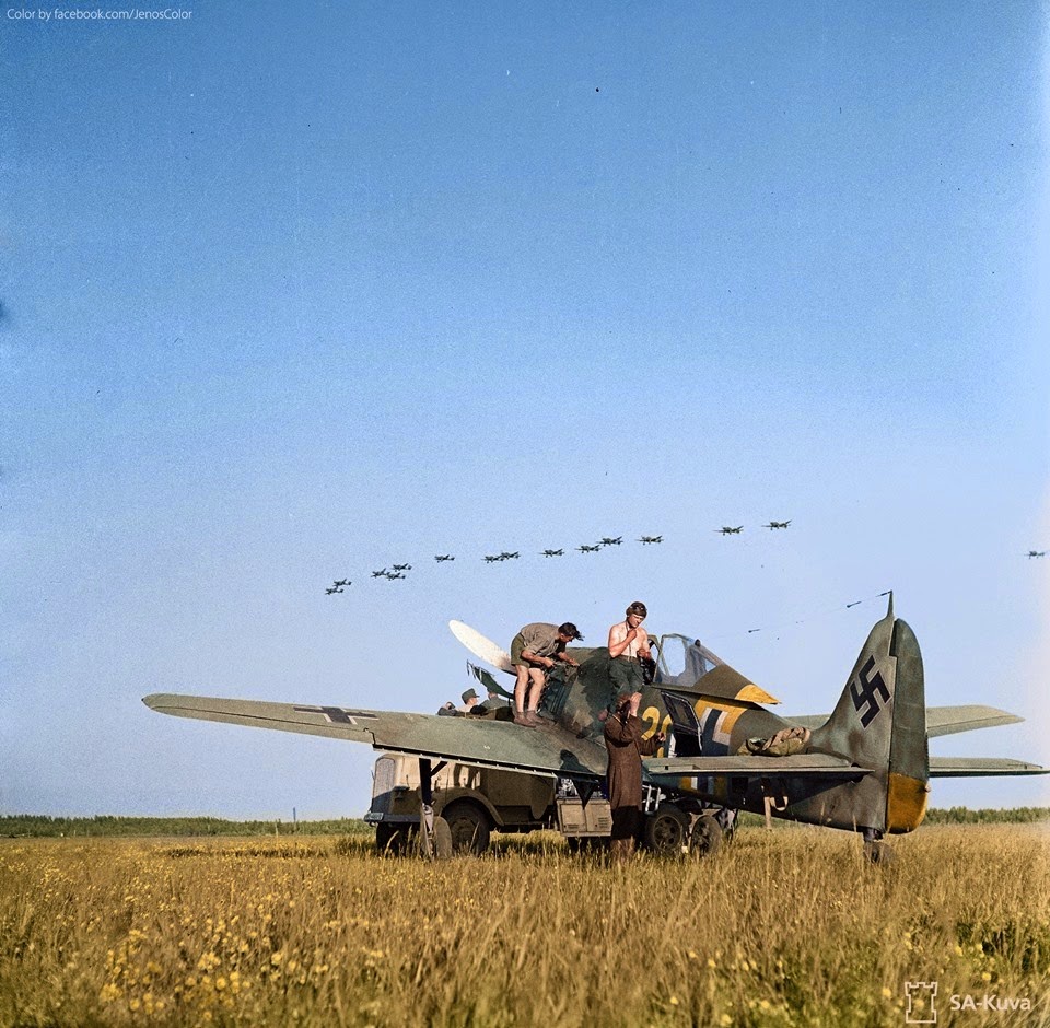 vintage stuka flying vintage stuka flying