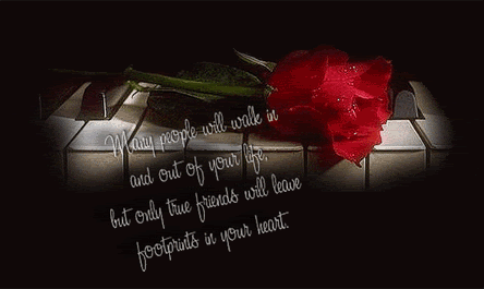 Happy Rose Day With Quotes 2016 Happy Rose Day With Quotes 2016