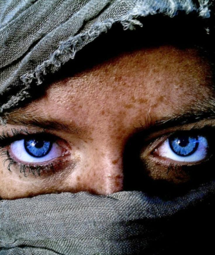 Best Beautiful Cute Whatsapp dp Profile Pic Whatsapp Status Quotes