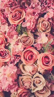 fondos de pantalla para whatsapp