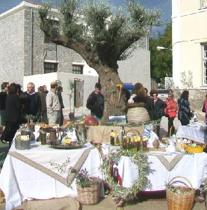 Ρεπορτάζ μας για τη Γιορτή της Ελιάς & Ελαιολάδου  2011-2012-2013 στο Κρανίδι