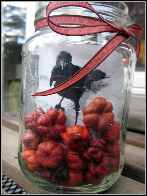 mason jar with putka pods and crow picture
