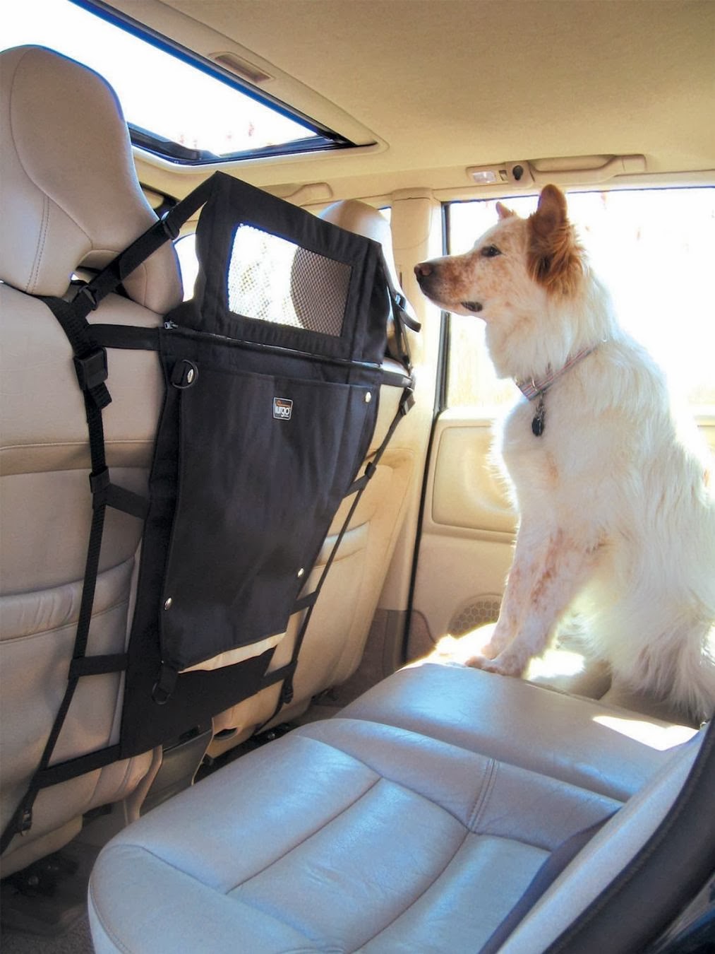 Как перевозятся крупные собаки. Перевозка собак в машине. Автомобиль для перевозки животных. Путешествие с собакой на машине. Место для собаки в машине.