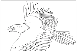 Ausmalbilder Adler und eine Schnecke Adler Malvorlagen